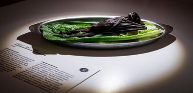 Skip-The-Line Entrance Ticket to Disgusting Food Museum