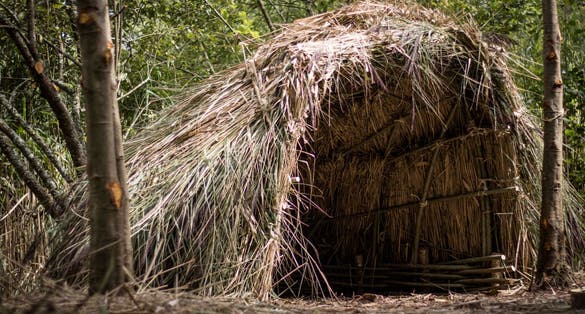 photo of Reconstruction of an Irish hunter-gatherer hut - mesolithic period Barntown, Irland.