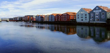 Trondheim: Private Walking Tour with a Local