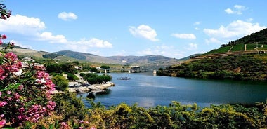 Douro Valley Small-Group Tour with Wine Tasting, Lunch, and Optional Cruise from Porto