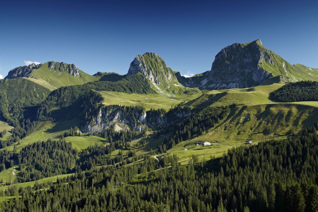 Gantrisch Nature Park, Schwarzenburg, Bern-Mittelland administrative district, Bernese Mittelland administrative region, Bern, Switzerland