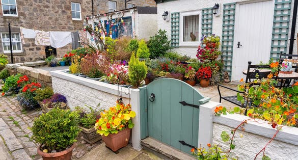 Photo of Fishermen's houses with brightly coloured plants and decorations in the Footdee Sweep, Aberdeen, Scotland.