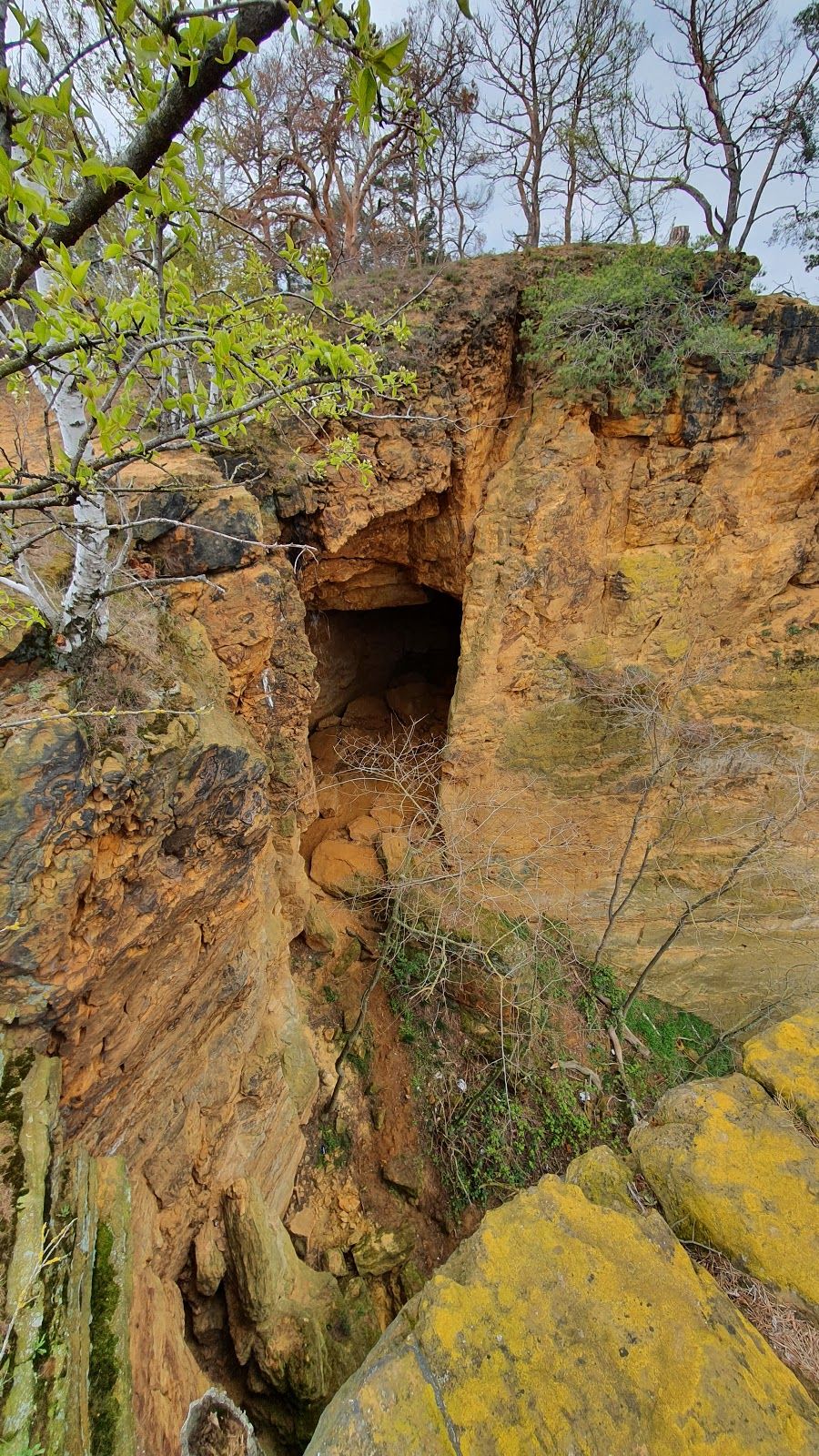 Lehoffelsen, Quedlinburg, Landkreis Harz, Saxony-Anhalt, Germany