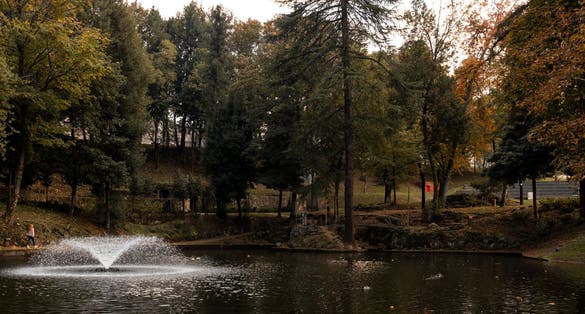 Autumn in Parque da Ponte, Braga
