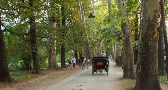 Velika aleja, promenade from Banjski park to Vrelo Bosne picnic area