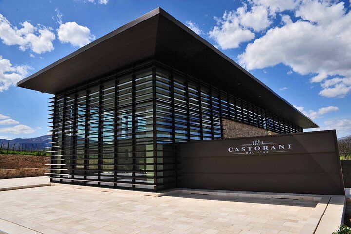 Winery Tour and Wine Tasting in Montepulciano d'Abruzzo