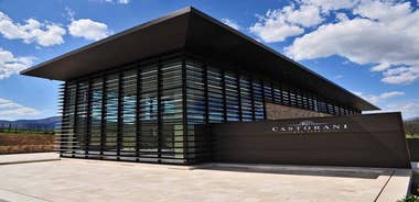 Winery Tour and Wine Tasting in Montepulciano d'Abruzzo