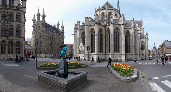 Photo of  Leuven with the townhall and the Collegiale Sint-Pieterskerk.
