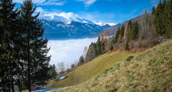PHOTO OF VIEW OF Lienz covered by fog, sun shines on the fog, with trees in the foreground. Lienzer Dolomites