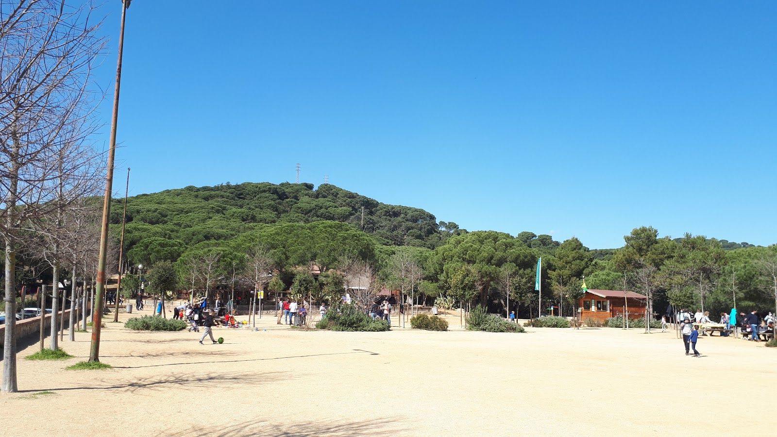 Bosc Vertical Mataro, Mataró, Maresme, Barcelona, Catalonia, Spain