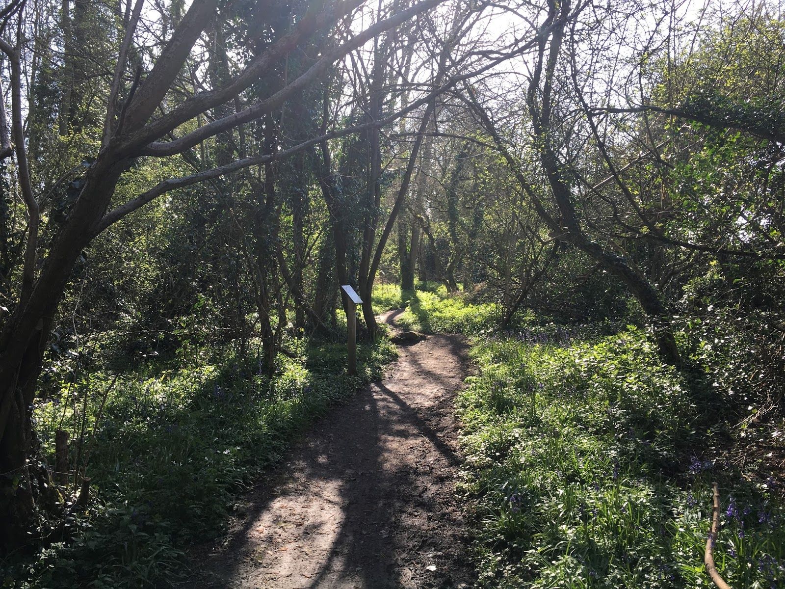 Tropical Birdland, Desford, Hinckley and Bosworth, Leicestershire, East Midlands, England, United Kingdom