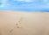 Photo of footsteps on the wandering dune Rabjerg Mile, Denmark.