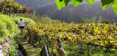 From Funchal: Full-Day Madeira Wine Tour with Lunch
