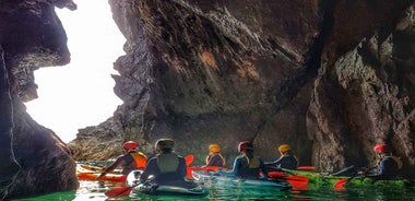 Wexford: Hook Peninsula Sea Cave Kayaking Experience