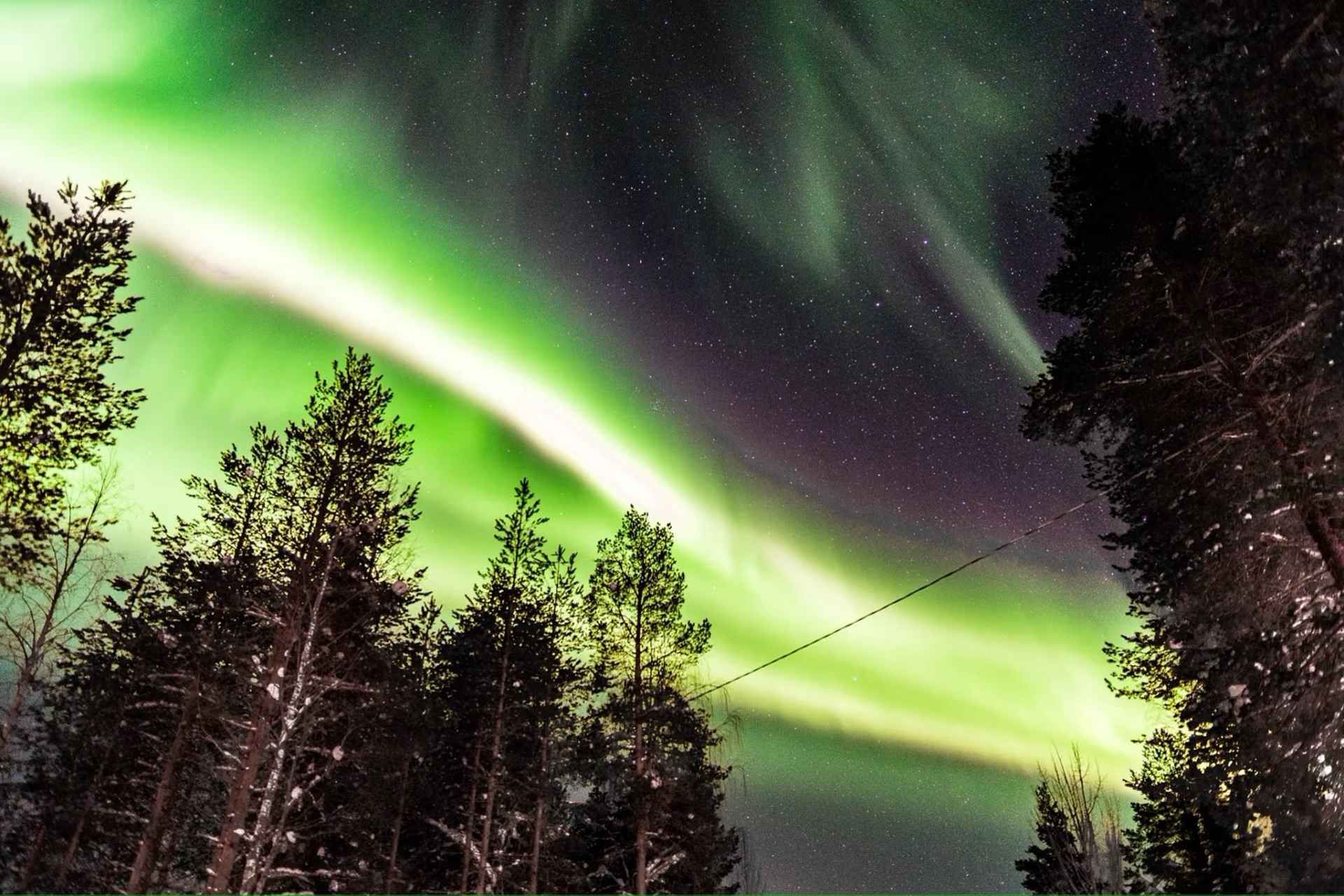 Inari: Northern Lights Hunt Snowmobile Safari