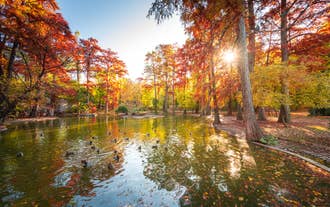Rasnov - city in Romania