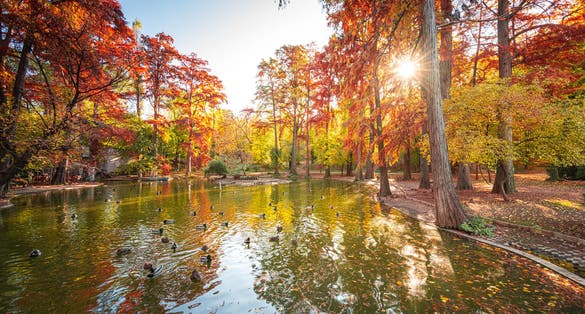 Autumn morning sunrise in Carol Park from Bucharest with amazing fall coloured tree leaves and blue sky