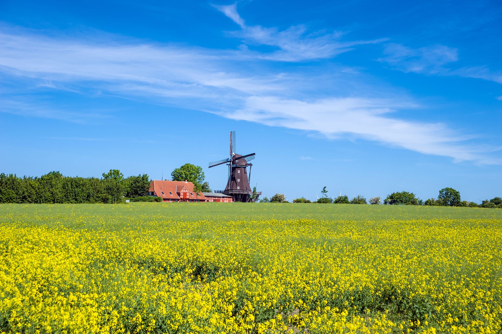 Photo of Historical windmill in Lemkenhafen on the island of Fehmarn. Baltic Sea, Schleswig-Holstein, Germany, Europe.