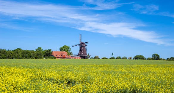 Photo of Historical windmill in Lemkenhafen on the island of Fehmarn. Baltic Sea, Schleswig-Holstein, Germany, Europe.
