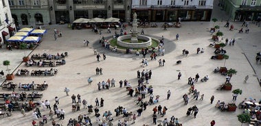 Private Direct Transfer From Vienna Airport to Bratislava