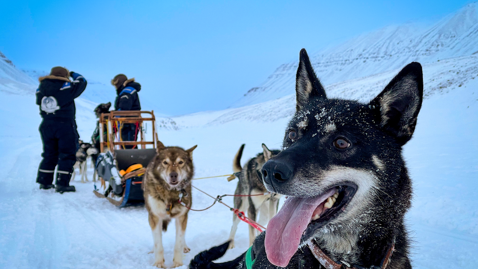 Svalbard Husky AS, Svalbard, Norway