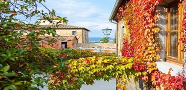 Arezzo: Wine Tasting Experience in Valdichiana area