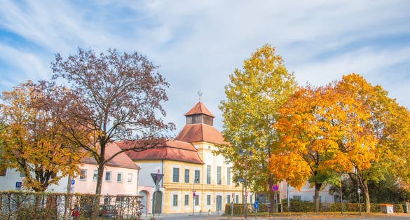 Photo of autumn park with yellow trees and yellow grass in ingolstadt city bavaria germany.