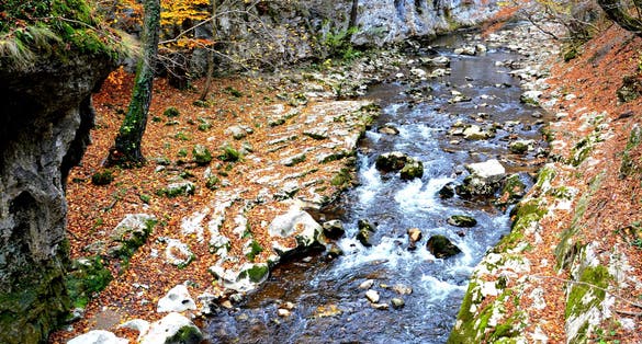 Photo of Autumn landscape in Banat Mountains. Bigar waterfall. Izvorul Bigarului, Transylvania, Romania .