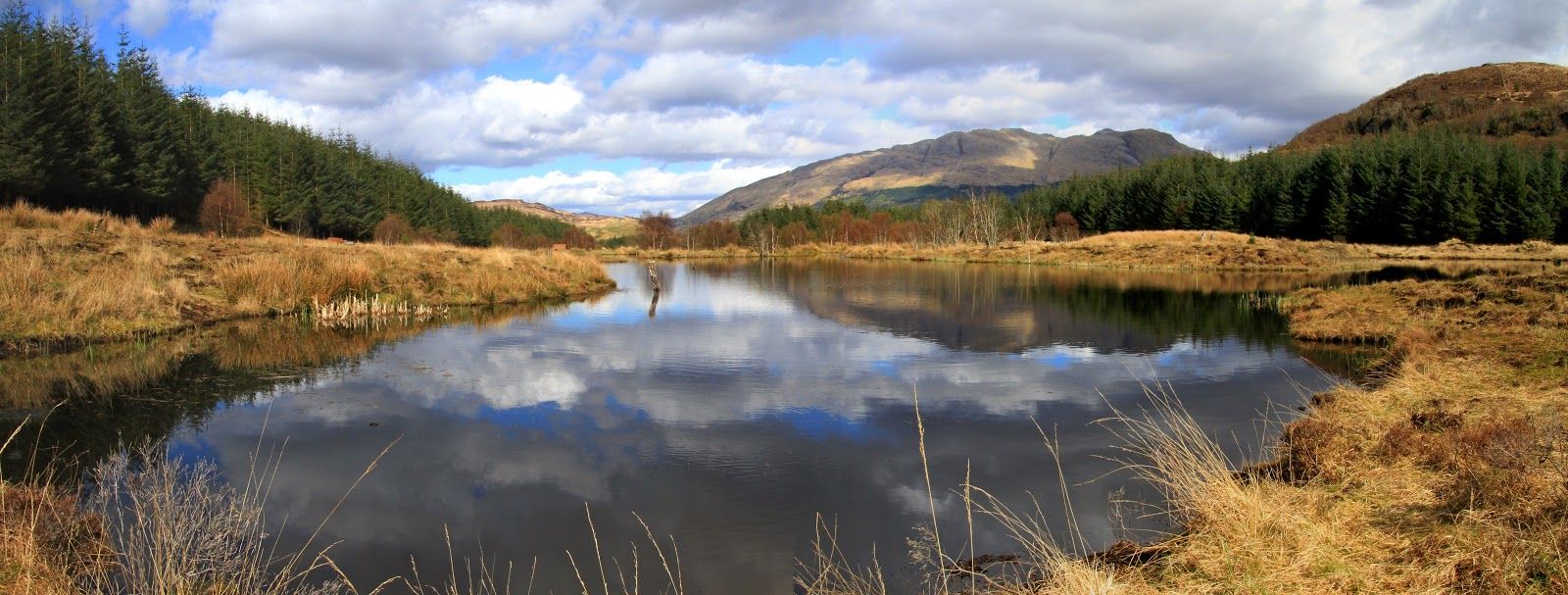 Highland Titles Nature Reserve, Highland, Scotland, United Kingdom