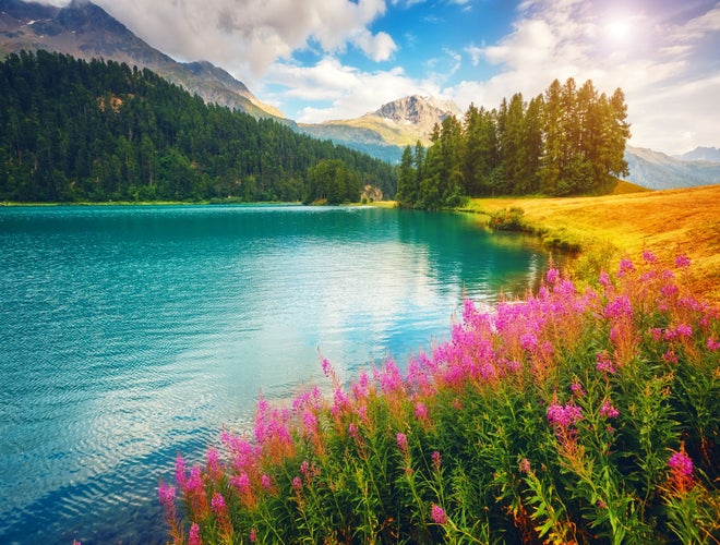 shutterstock_391961053 (1).jpg