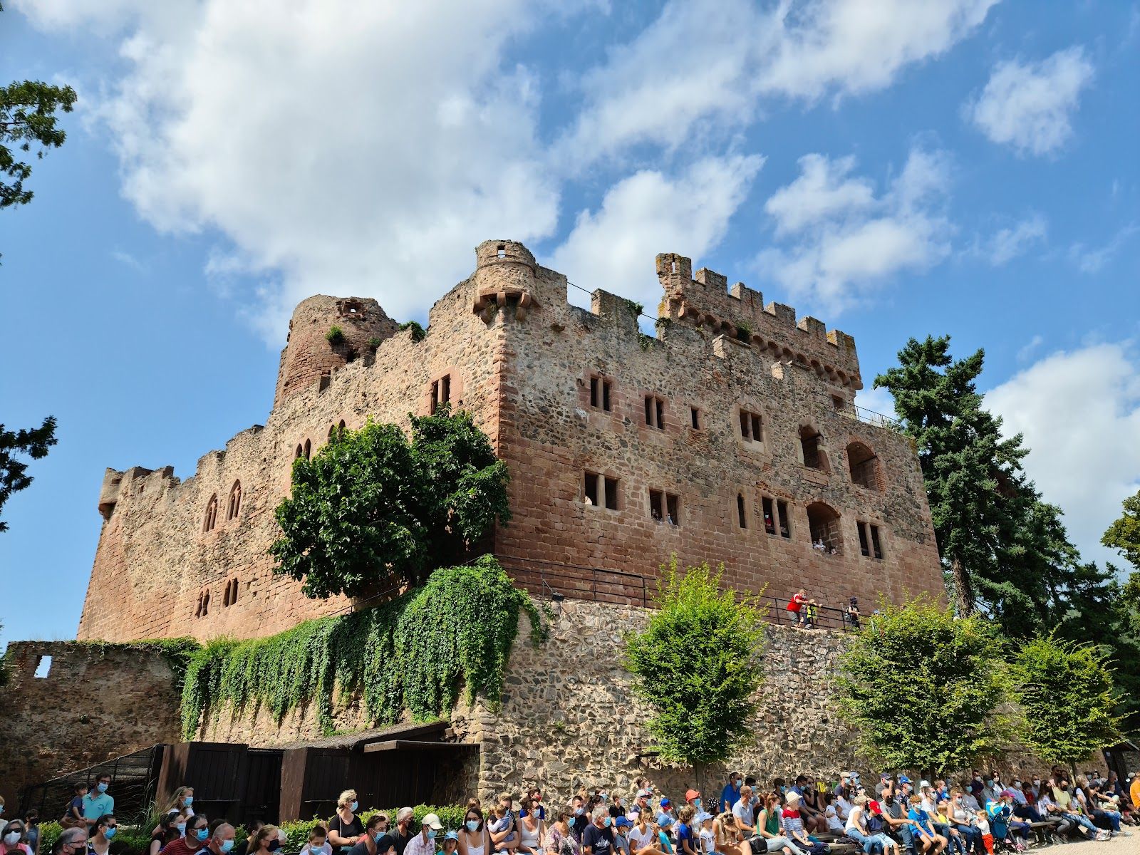 The Eagle Park, Kintzheim, Sélestat-Erstein, Bas-Rhin, Grand Est, Metropolitan France, France