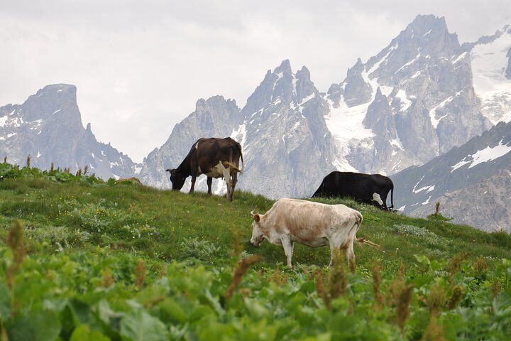 4-Day Svaneti Hiking Tour