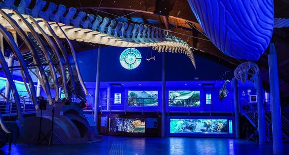 Museo Di Storia Naturale Del Mediterraneo in Italy.