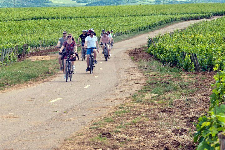 1 Day E-Bike and wine tour in Cote de Nuits from Dijon