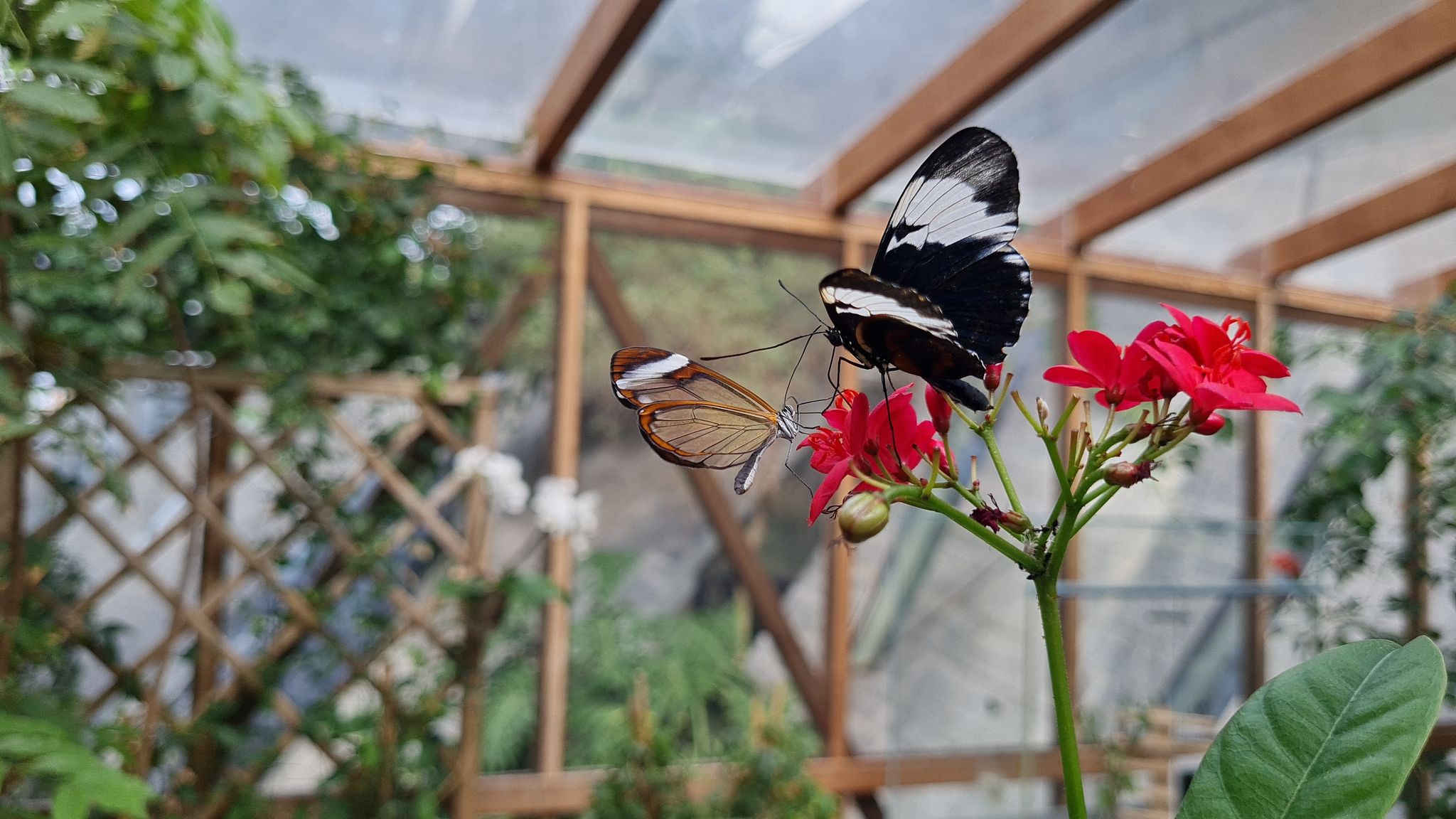 Germany's Potsdam Biosphere Reserve is a lush, diverse ecosystem showcasing nature's beauty.