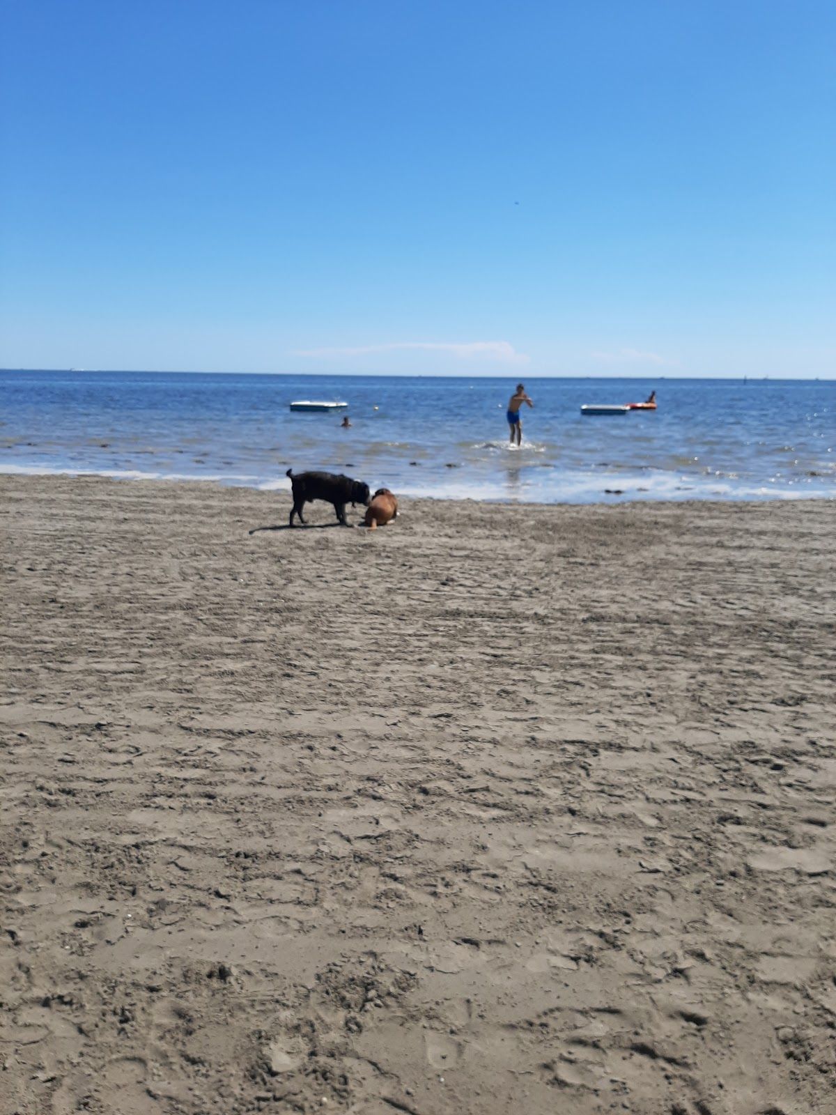 La spiaggia di Snoopy, Grado, UTI Carso Isonzo Adriatico / MTU Kras Soča Jadran, Friuli-Venezia Giulia, Italy