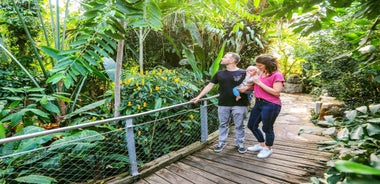 Hanover: SEA LIFE Entry Ticket