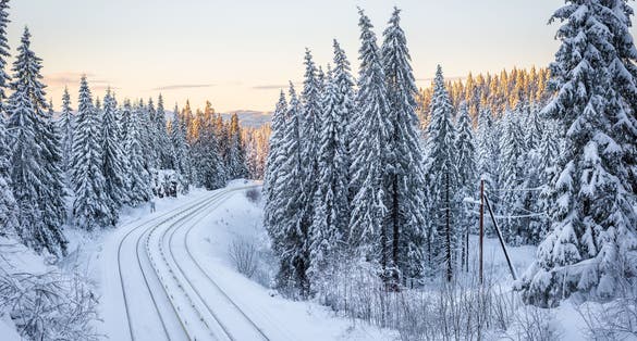 Photo of Train (t-bane) railway trough winter forest at sunset in Oslo.