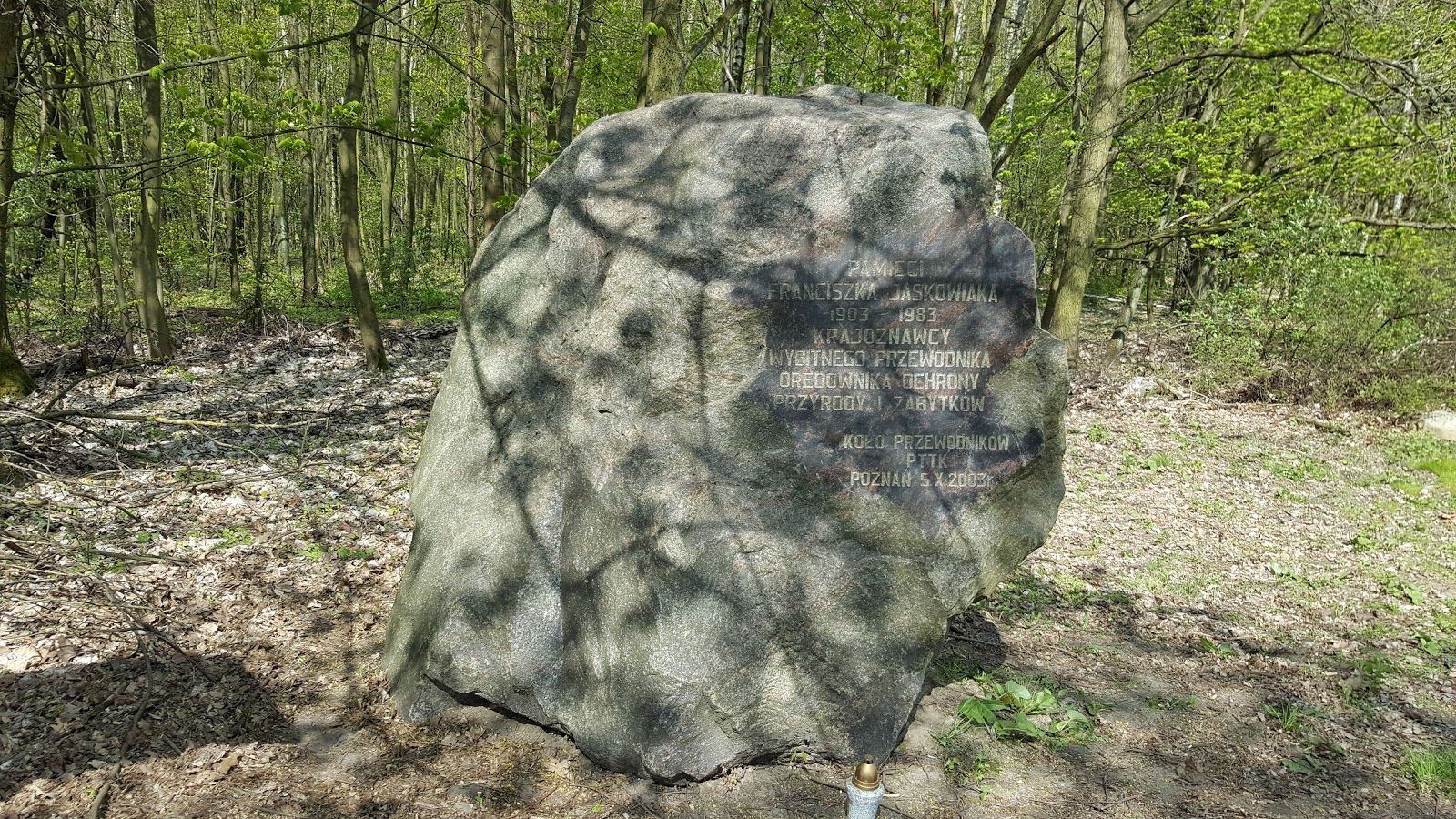Morasko Meteorite Nature Reserve, Morasko, Morasko-Radojewo, Poznań, Greater Poland Voivodeship, Poland