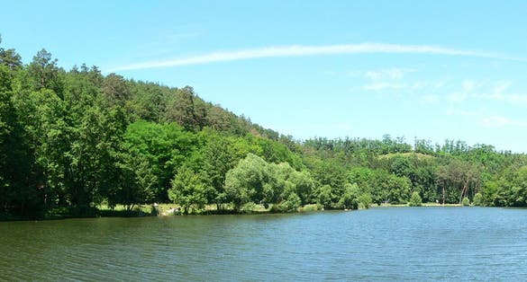 Photo of beautiful sunny spring day in Marianske Udoli ,Brno, Czech Republic.