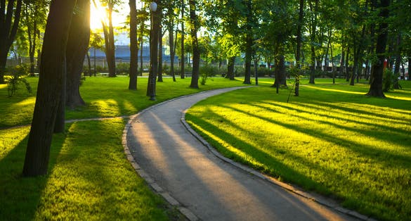Photo of Copou Park in Iasi Romania during summer sunrise .
