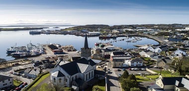 Slieve League cliffs cruise. Donegal. Guided. 1 ¾ hours.