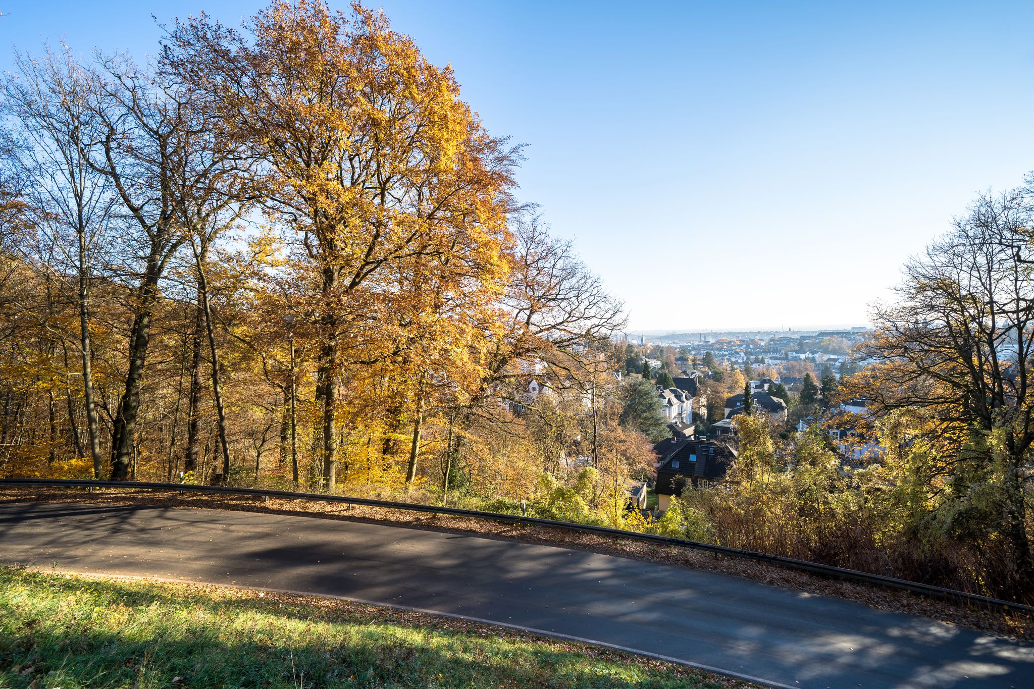 Unbelievable colorful Park with the beautiful, autumn trees, Wiesbaden, Germany