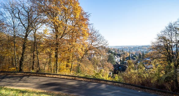 Unbelievable colorful Park with the beautiful, autumn trees, Wiesbaden, Germany