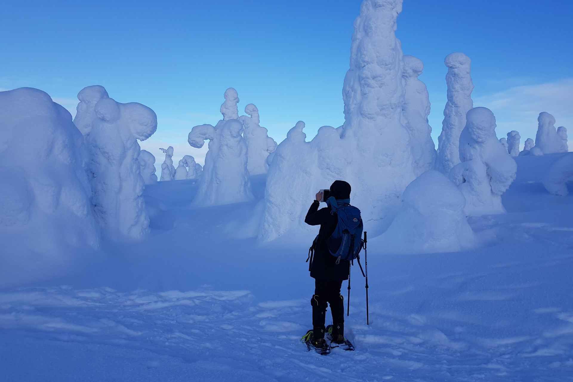 Riisitunturi National Park Private Snowshoe Adventure