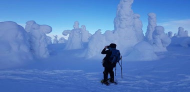 Riisitunturi National Park Private Snowshoe Adventure