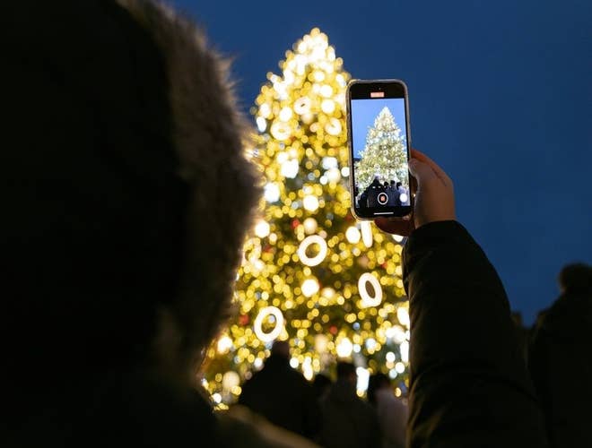 shutterstock_2240048957 Large.jpeg