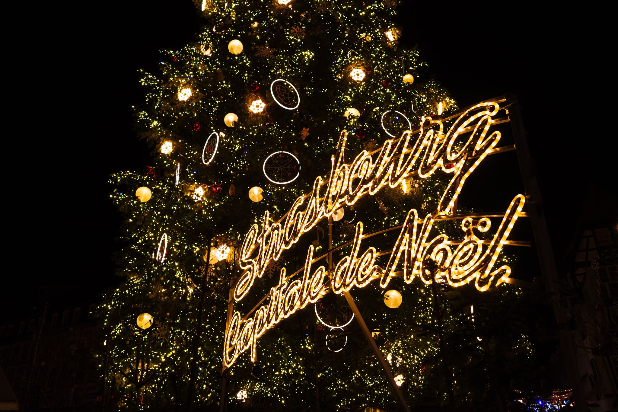 shutterstock_2288576337 (1).jpg