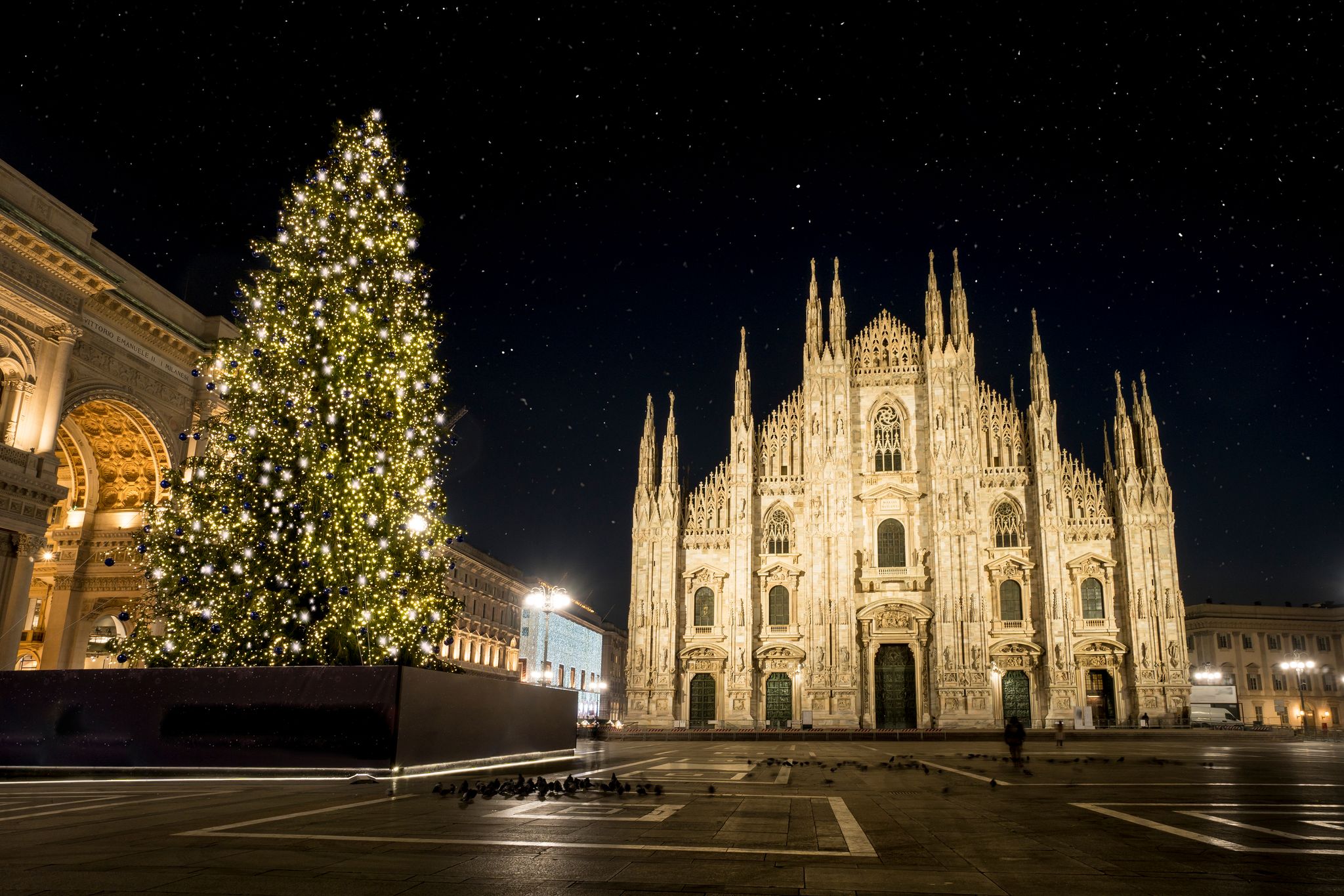 shutterstock_1259914303 (2).jpg