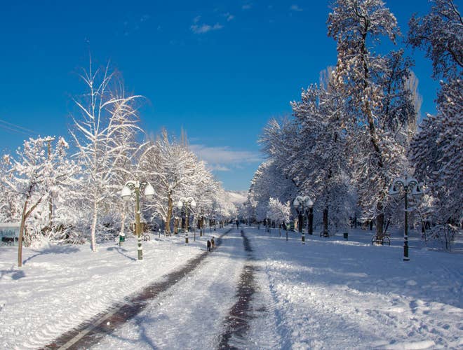 Bitola city park.jpg